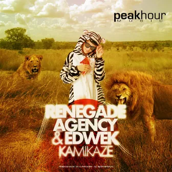 Kamikaze by Edwek