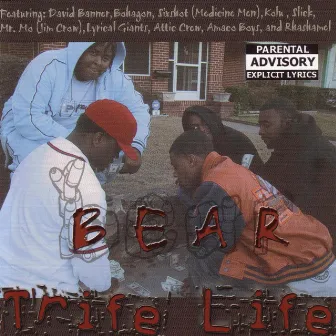 Trife Life by Bear