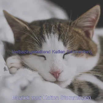 Verbazingwekkend Katten (Momenten) by Muziek voor Katten Stemmingen