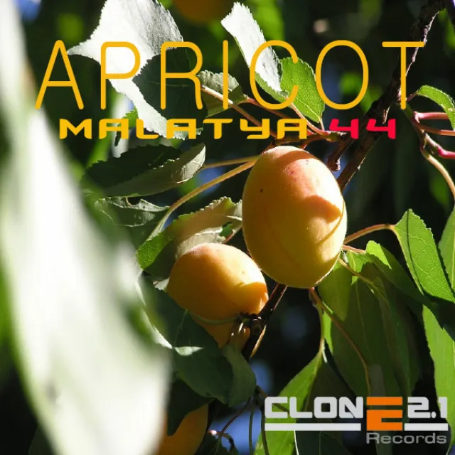 Apricot - Extended Version