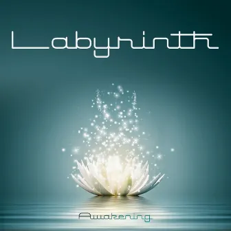 Awakening by Labyrinth