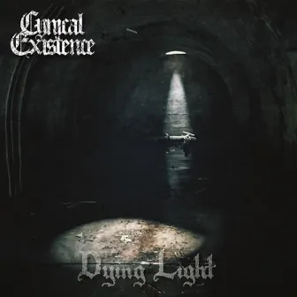 Dying Light by Cynical Existence