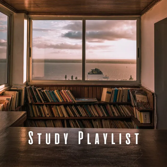 Study Playlist: Mindful Binaural Ocean Sounds