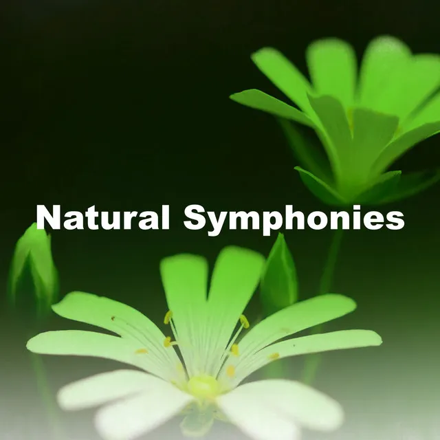 Natural Symphonies