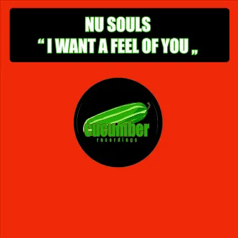 I Want A Feel Of You by Nu Souls