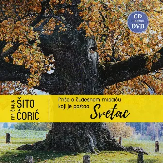 Svetac by Fra Šito Ćorić