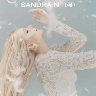 Liar (Radio Edit) by Sandra N.