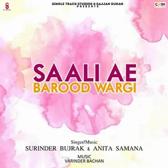 Saali Ae Barood Wargi by Surinder Bujrak