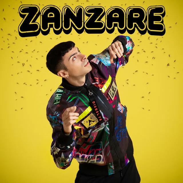 Zanzare