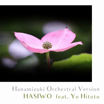 Hanamizuki (Cover) [Hanamizuki Orchestral Version] by HASIWO