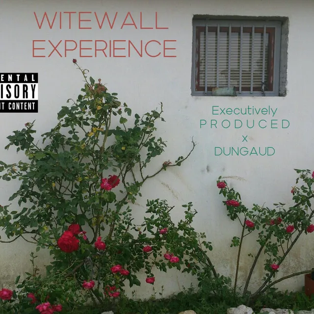 WITEWALL EXPERIENCE