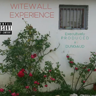 WITEWALL EXPERIENCE by LOFILEONE