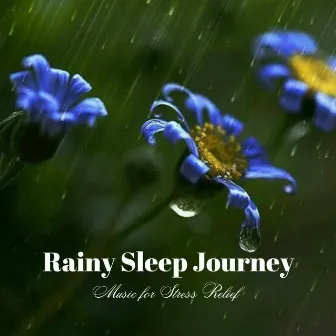 Rainy Sleep Journey: Music for Stress Relief by Supernatural Brainwave Power