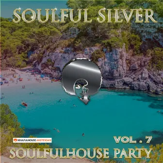 Soulfulhouse Party, Vol. 7 by Soulful Silver