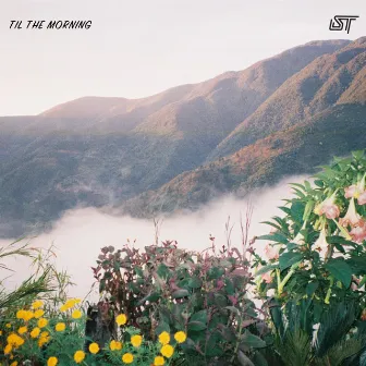 Til the Morning by Swing Ting