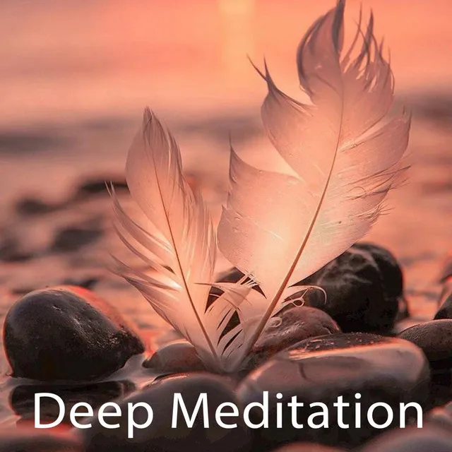 Spa Music & Meditation Collective