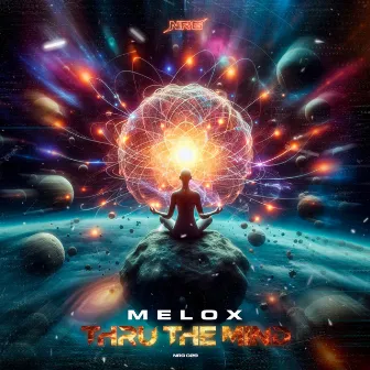 Thru The Mind by MELOX