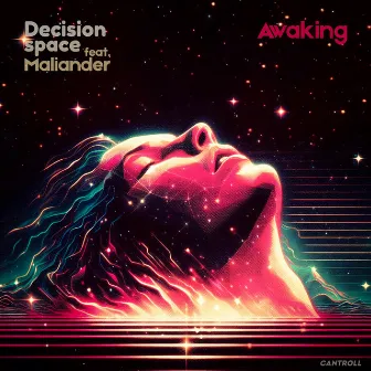 Awaking by Decision space