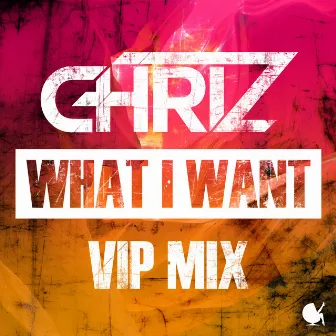 What I Want (VIP Mix) by Chriz