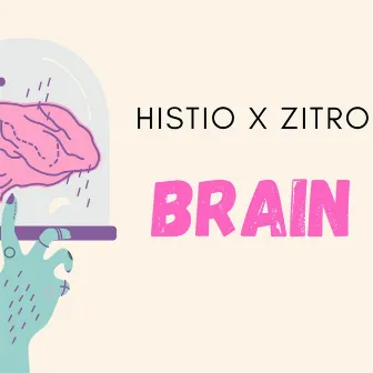 Brain by Histio