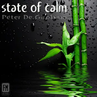 State of Calm by Peter De Girolamo