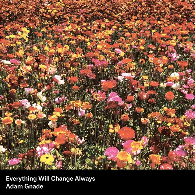 Everything Will Change Always