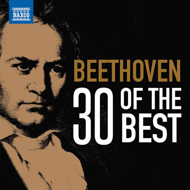 Symphony No. 7 in A Major, Op. 92: II. Allegretto