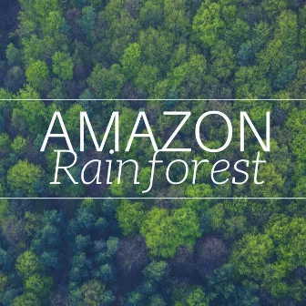 2018 Amazon Rainforest - The Bery Best in Relaxing Music with Nature Sounds (Rain, Water, Wind, Forest Sounds) by Unknown Artist