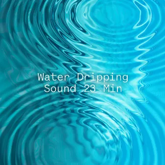 Water Dripping Sound 23 Min by Sound of Nature Library