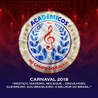 Carnaval 2018: Mestiço, Maneiro, Moleque... Orgulhoso, Guerreiro. Sou Brasileiro. O Melhor do Brasil! by Emerson Dias