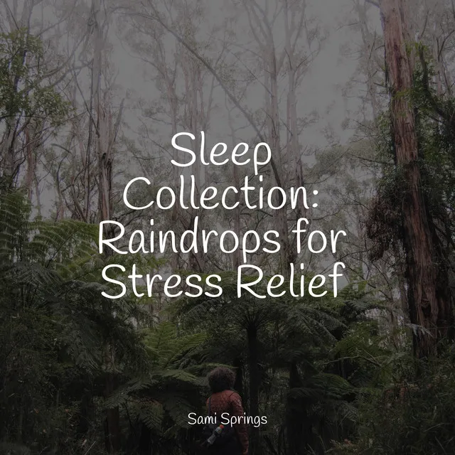 Sleep Collection: Raindrops for Stress Relief