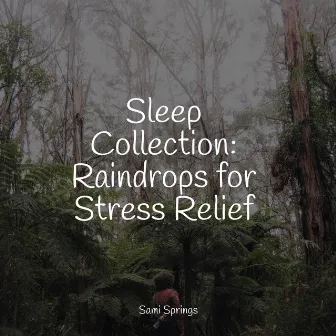 Sleep Collection: Raindrops for Stress Relief by Rainfall For Sleep