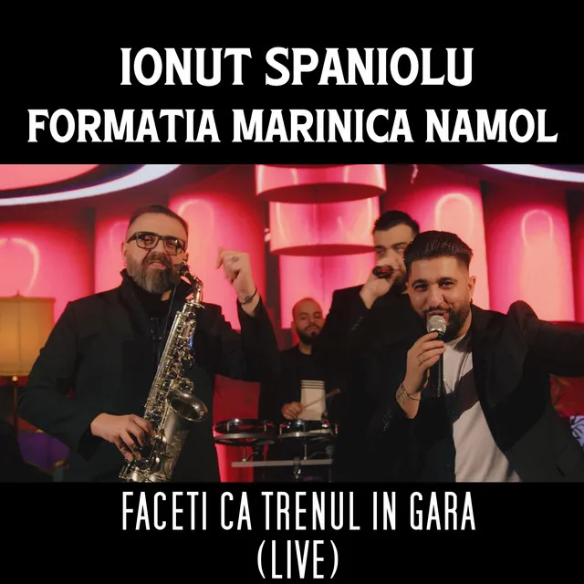 Faceti ca trenul in gara - Live