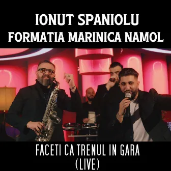 Faceti ca trenul in gara (Live) by Ionut Spaniolu