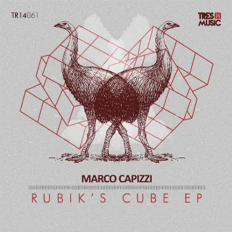 Rubik's Cube by Marco Capizzi