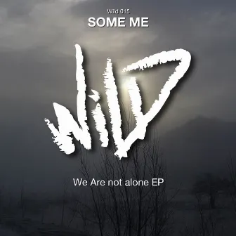 We Are Not Alone by Some Me