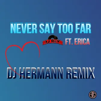 Never Say Too Far (DJ Hermann Remix) by Dj R@y