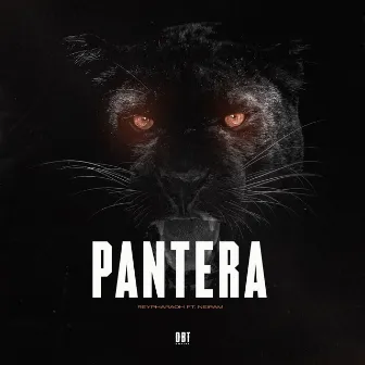 PANTERA by REYPHARAOH