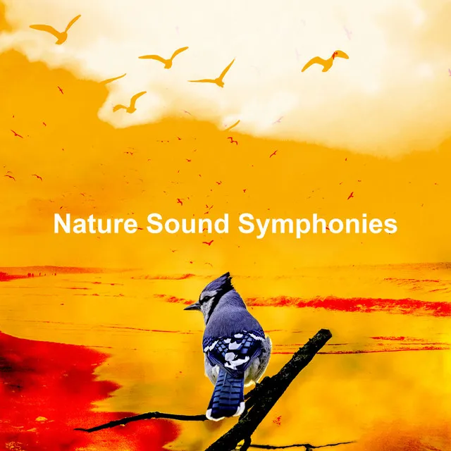 Nature Sound Symphonies