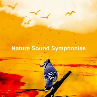 Nature Sound Symphonies by Naturesque