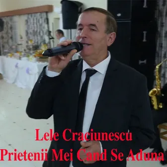 Prietenii Mei Cand Se Aduna by Lele Crăciunescu