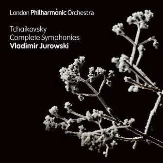 Tchaikovsky: The Complete Symphonies by Vladimir Jurowski