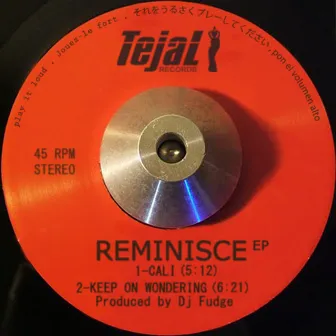 Reminisce by DJ Fudge