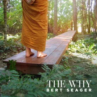 The Why by Bert Seager