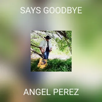 SAYS GOODBYE by Angel Perez