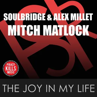 The Joy In My Life by Mitch Matlock