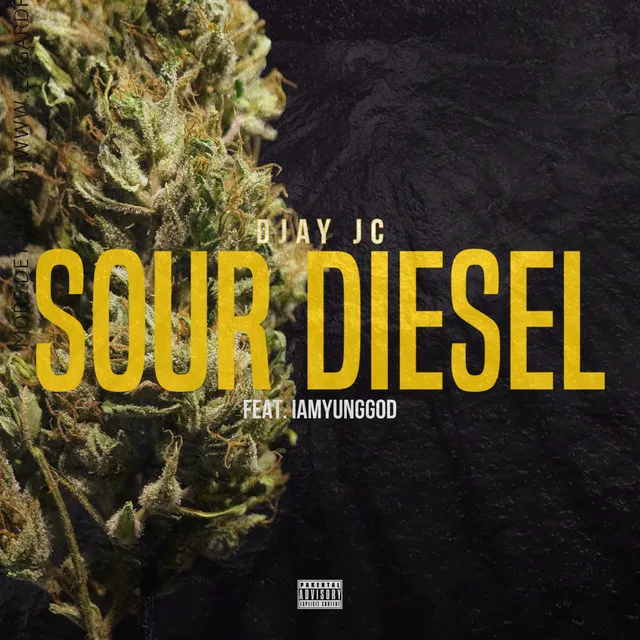 Sour Diesel