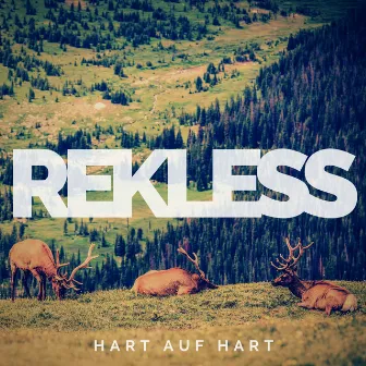 Hart auf hart by Roger Rekless