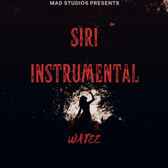 Siri Instrumental by MAD STUDIOS