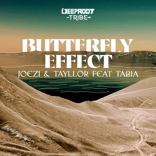 Butterfly Effect